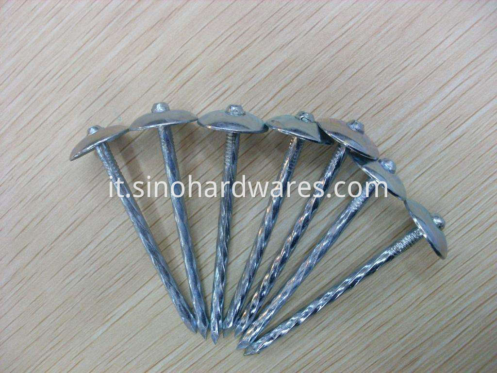 roofing nails